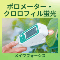 メイワフォーシス